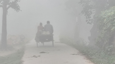 দিনাজপুরে কনকনে শীত, তাপমাত্রা নামল ১০ ডিগ্রিতে