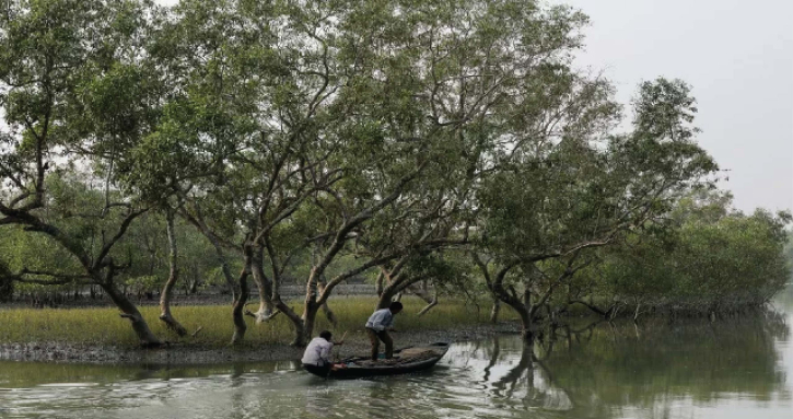 ভারতে পালাতে চাওয়া ১১ বাংলাদেশিকে সুন্দরবনে রেখে চলে গেল দালাল ভারতে পালাতে চাওয়া ১১ বাংলাদেশিকে সুন্দরবনে রেখে চলে গেল দালাল