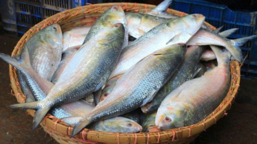 দুধের স্বাদ ঘোলে মেটাচ্ছেন ভারতীয়রা!
