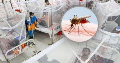 ডেঙ্গুতে মৃত্যু বেড়ে ৩৫৭, আক্রান্ত ১ লাখ ১৫ হাজার
